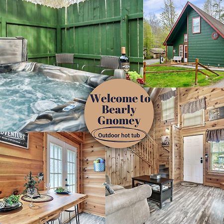 Bearly Gnomey Villa Гетлинбург Екстериор снимка